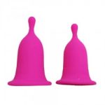 COPA MENSTRUAL PINK