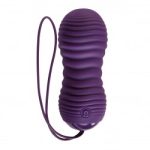 VIBRADOR EVOLVED EAGER EGG